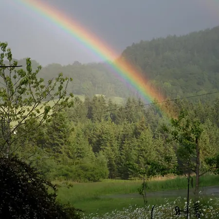 Pensión Lehnhaeusl *